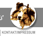 Kontakt Hundeschule